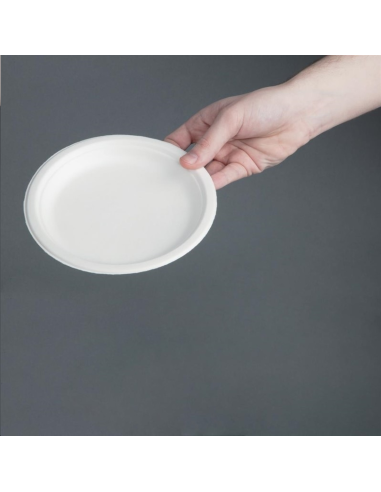 Assiettes en bagasse compostables F