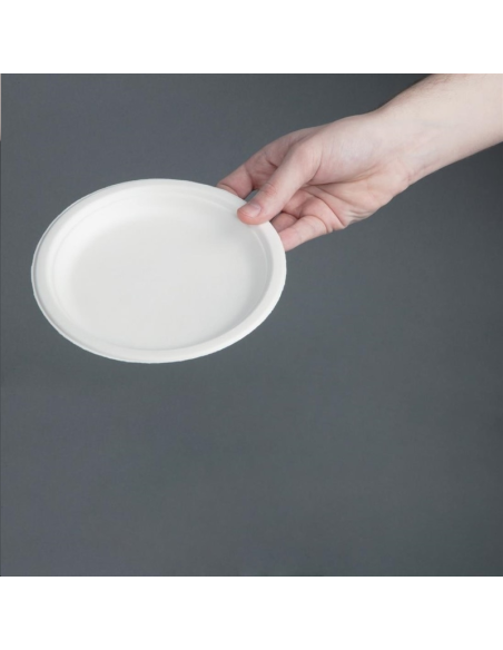 Assiettes en bagasse compostables F