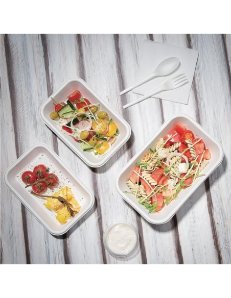 Barquettes compostables en bagasse 