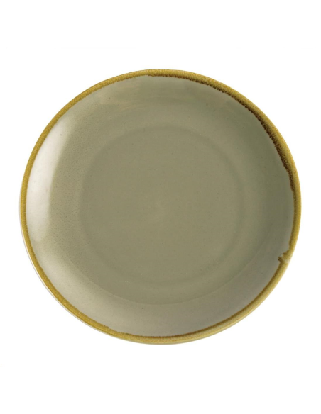 Assiette plate ronde couleur mousse